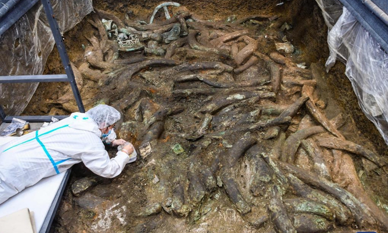 An archaeologist works at the No. 8 sacrificial pit of the Sanxingdui Ruins site in southwest China's Sichuan Province, Sept. 2, 2021. More than 500 pieces of relics have been discovered in recent months at the legendary Sanxingdui Ruins site, dazzling archaeologists with their historical value as well as the display of creativity and ingenuity. Photo: Xinhua 