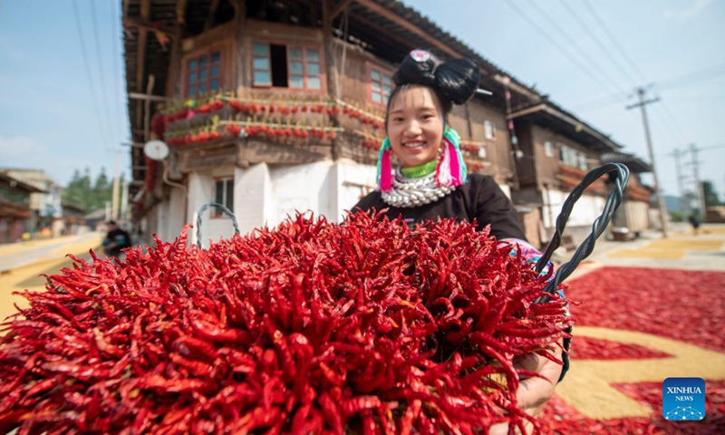A villager shows harvested chili peppers in Donglang Township of Congjiang County, southwest China's Guizhou Province, Sept. 12, 2021. (Photo by Wu Dejun/Xinhua) 

