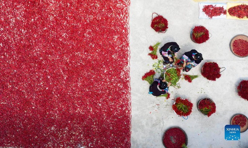 Aerial photo taken on Sept. 12, 2021 shows villagers sorting out harvested chili peppers in Donglang Township of Congjiang County, southwest China's Guizhou Province. (Photo by Luo Jinglai/Xinhua) 
