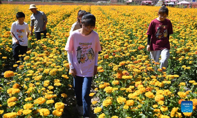 Tourists visit a flower farm in Lisai Village of Zho'nyin County in Gannan, northwest China's Gansu Province, Sept. 11, 2021. In recent years, the local government of Lisai Village has taken advantage of the natural resources to develop rural tourism and helped increase villagers' income. Photo: Xinhua