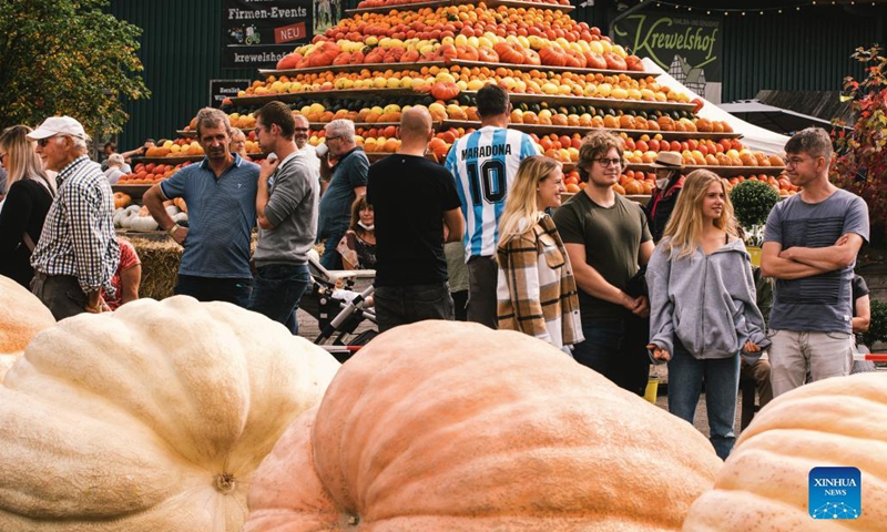 Poeple visit a traditional pumpkin festival in Lohmar, a town near Cologne, Germany, on Sept. 12, 2021.(Photo: Xinhua)