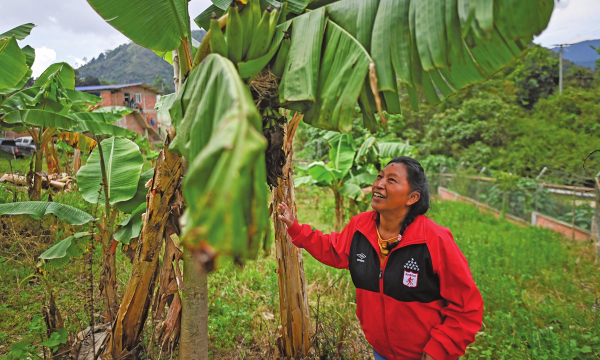 Colombian indigenous environmentalist Celia Umenza Photo: AFP 