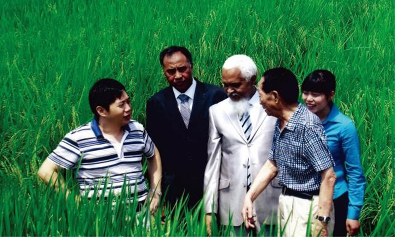 Yuan Longping and his Madagascan friends in a hybrid rice field