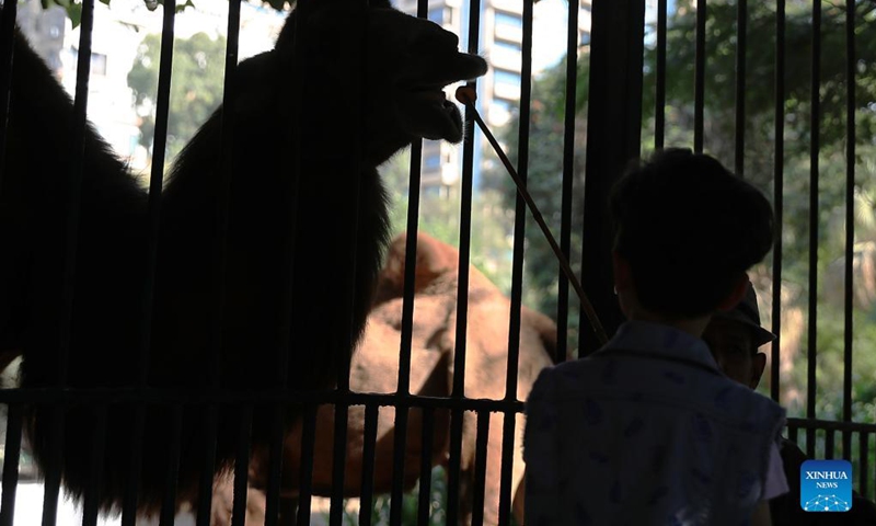 Tourists visit the Giza Zoo in Giza, Egypt, on Sept. 18, 2021. Opened in 1891 and as the largest zoo in Egypt and the Middle East, Giza Zoo is a main destination for Egyptian families with their children on holidays. (Xinhua/Wang Dongzhen)