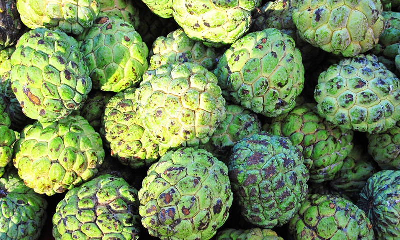 cherimoya Photo: CFP