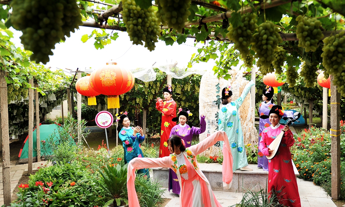 Artists dance and play music to celebrate harvesting grapes in Zhangjiakou, North China's Hebei Province on Tuesday. September is the traditional harvest reason for farmers. This year, the dance performance also attracted a lot of tourists. Photo: cnsphotos