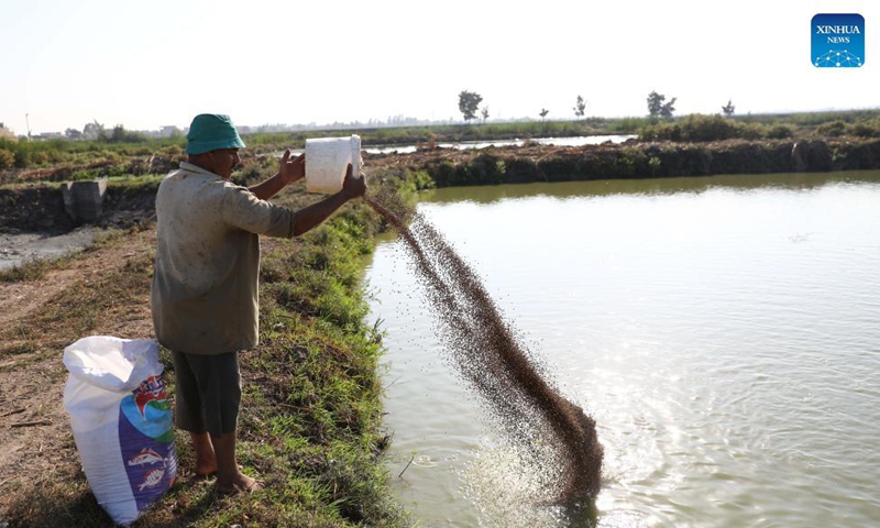 A fisherman pours feed into a fish pond at a farm in Sharqia province, northeastern Egypt, on Sept. 1, 2021.Photo:Xinhua