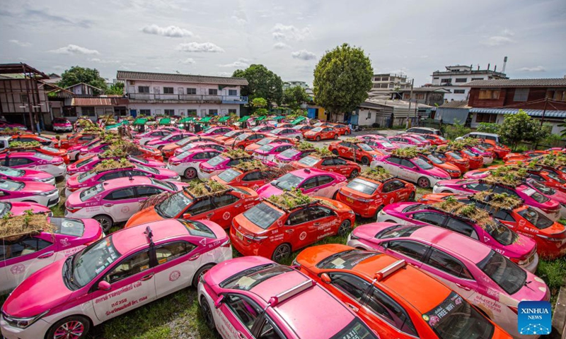 Photo taken on Sept. 24, 2021 shows taxis used to grow vegetables at a parking lot in Bangkok, Thailand. At a parking lot on the outskirts of Bangkok, hundreds of taxis were out of service for more than a year due to the COVID-19 epidemic. Taxi company staff piled soil on the roof and hood of these cars to grow vegetables and distributed them to employees and unemployed drivers.Photo:Xinhua