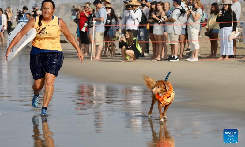 A dog is seen during the annual Surf City Surf Dog competition at Huntington Beach, Orange County, California, the United States, Sept. 25, 2021.(Photo: Xinhua)