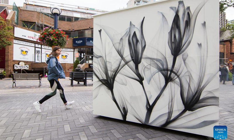 A girl walks past a mural during the 2021 Yorkville Murals art festival in Toronto, Canada, on Sept. 26, 2021.(Photo: Xinhua)