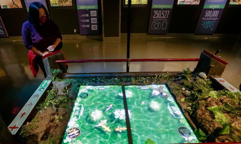 A visitor looks at an interactive exhibit showcasing the ecology of the pond life during a media preview of the Backyard Adventures exhibition at Science World in Vancouver, British Columbia, Canada, on Sept. 28, 2021.Photo:Xinhua