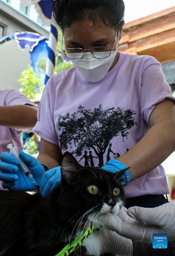 Surabaya, East Java, Indonesia, Sept. 28, 2021. World Rabies Day is observed annually to raise awareness of rabies prevention and to highlight progress in defeating the disease.Photo:Xinhua