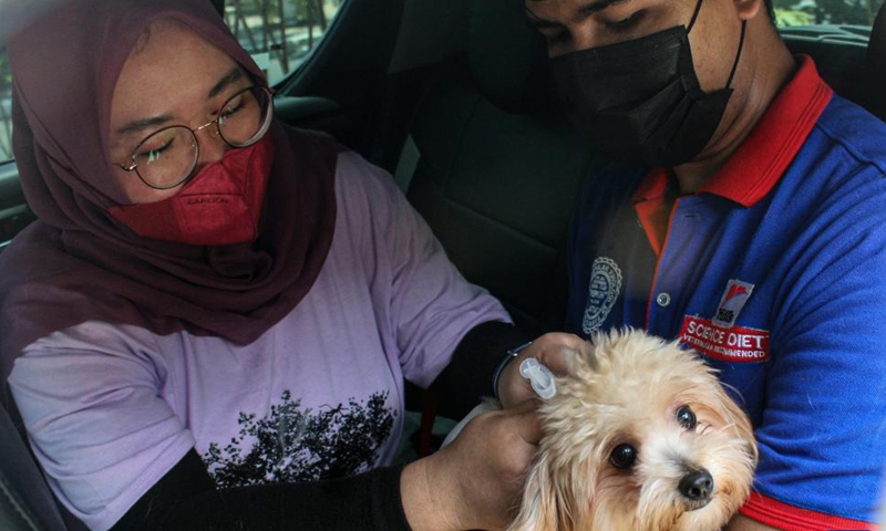 A veterinarian gives a dog a dose of rabies vaccine on World Rabies Day at a drive-through vaccination site in Surabaya, East Java, Indonesia, Sept. 28, 2021.Photo:Xinhua