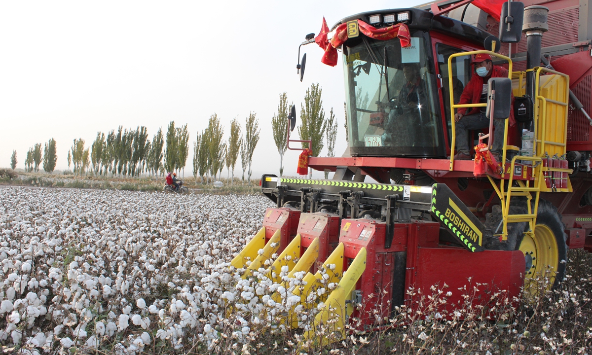 Farmers in Awati, Aksu prefecture of southern Xinjiang harvest cotton with machinery on Saturday. Photo: Ainiwajiang Yiming