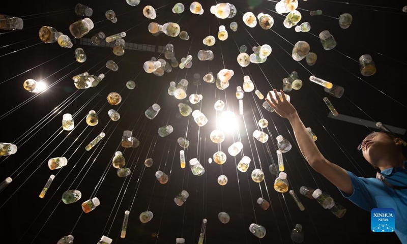 A visitor views samples containing germinated seeds at an exhibition held by the Chinese Academy of Sciences (CAS) in Kunming, southwest China's Yunnan Province, Oct. 10, 2021. Ahead of the 15th meeting of the Conference of the Parties to the UN Convention on Biological Diversity (COP15) in Kunming, CAS held an event on its biodiversity preservation and study, as well as achievements on biodiversity research. (Xinhua/Jin Liwang)