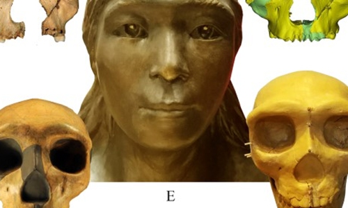 Reconstructed virtual models of the HualongDong No.6 skull Photo: Sina Weibo 