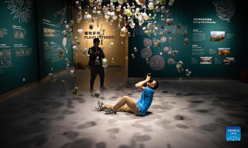 Visitors take photos of samples containing germinated seeds at an exhibition held by the Chinese Academy of Sciences (CAS) in Kunming, southwest China's Yunnan Province, Oct. 10, 2021. Ahead of the 15th meeting of the Conference of the Parties to the UN Convention on Biological Diversity (COP15) in Kunming, CAS held an event on its biodiversity preservation and study, as well as achievements on biodiversity research. (Xinhua/Jin Liwang)