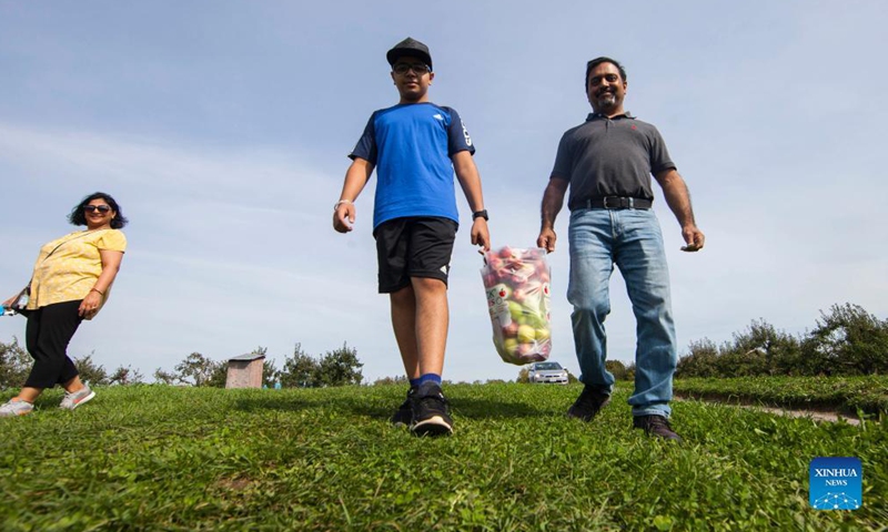 People take part in an apple harvest activity during Canada's Thanksgiving Day at an orchard in Brampton, Ontario, Canada, on Oct. 11, 2021. Canada's Thanksgiving Day is marked on the second Monday in October every year. (Photo by Zou Zheng/Xinhua)
