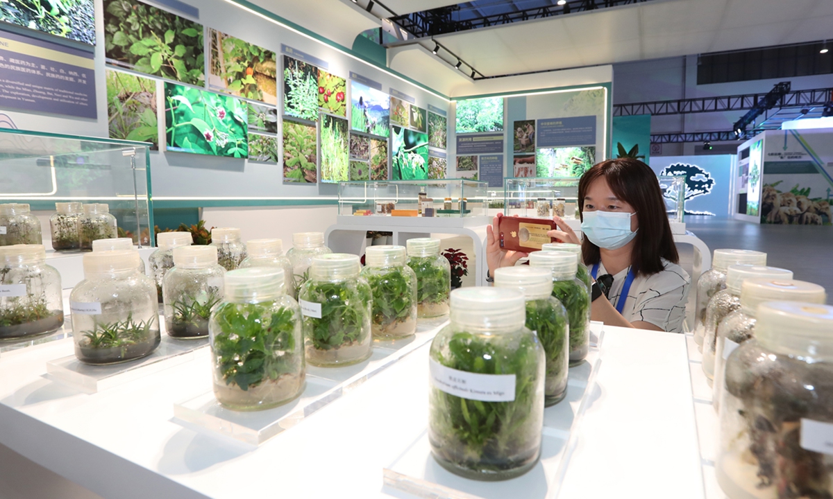 A visitor takes picture at an exhibit showcases China's commitment to ecological progress and success in biodiversity conservation in Kunming, Yunnan Province on Sunday. Photo: IC 