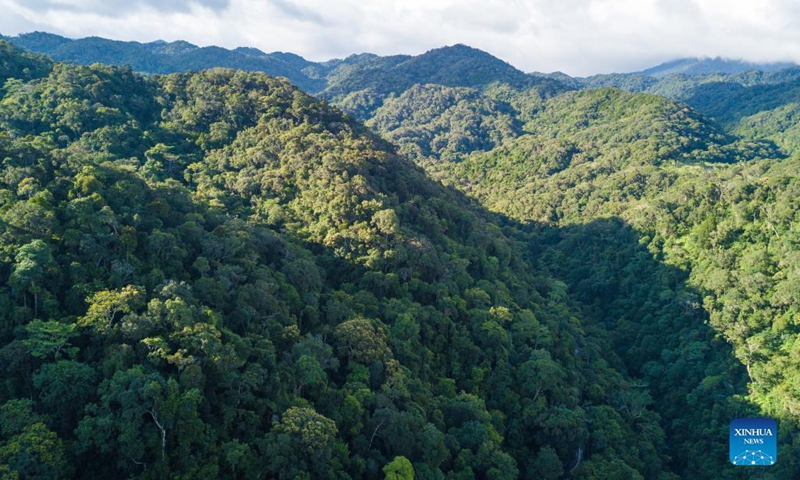 Aerial photo taken on Sept. 26, 2021 shows the view of the Hainan Tropical Rainforest National Park in south China's Hainan Province. (Xinhua/Pu Xiaoxu)