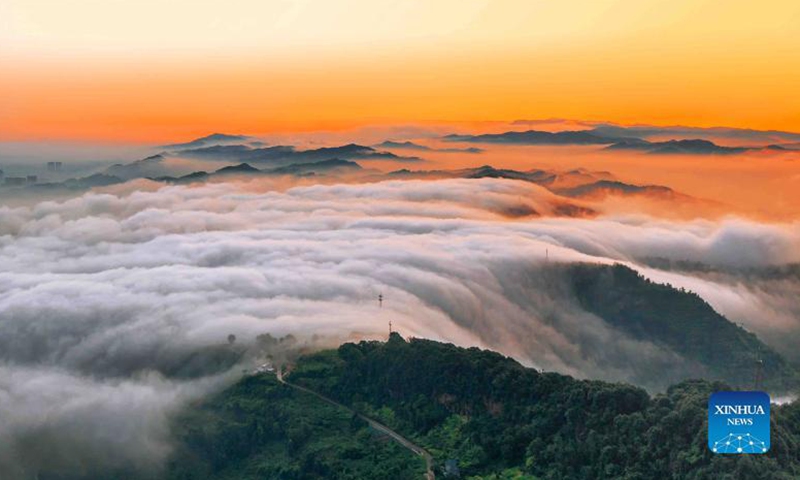 Aerial photo taken on July 10, 2019 shows a view of the Longquanshan city forest park in Chengdu, southwest China's Sichuan Province. A total of 35 emmenopterys henryi trees have been found in the city forest park. The plant is under China's second-class protection. (Photo by Jia Nan/Xinhua)
