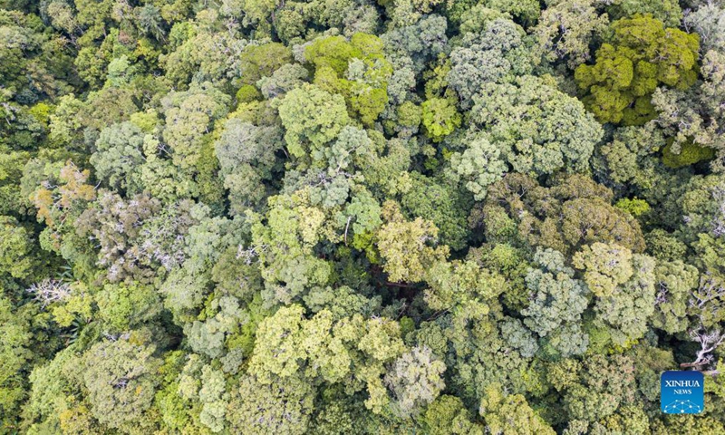 Aerial photo taken on Sept. 9, 2021 shows the view of the Hainan Tropical Rainforest National Park in south China's Hainan Province. (Xinhua/Pu Xiaoxu)