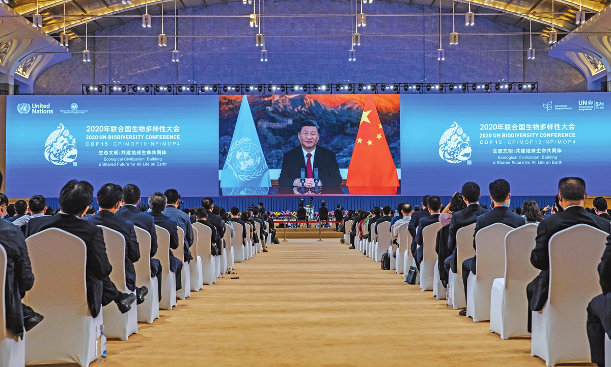 Chinese President Xi Jinping speaks at the leaders' summit of the 15th meeting of the Conference of the Parties to the Convention on Biological Diversity (COP15) on Tuesday via video link in Beijing. Photo: Li Hao/GT