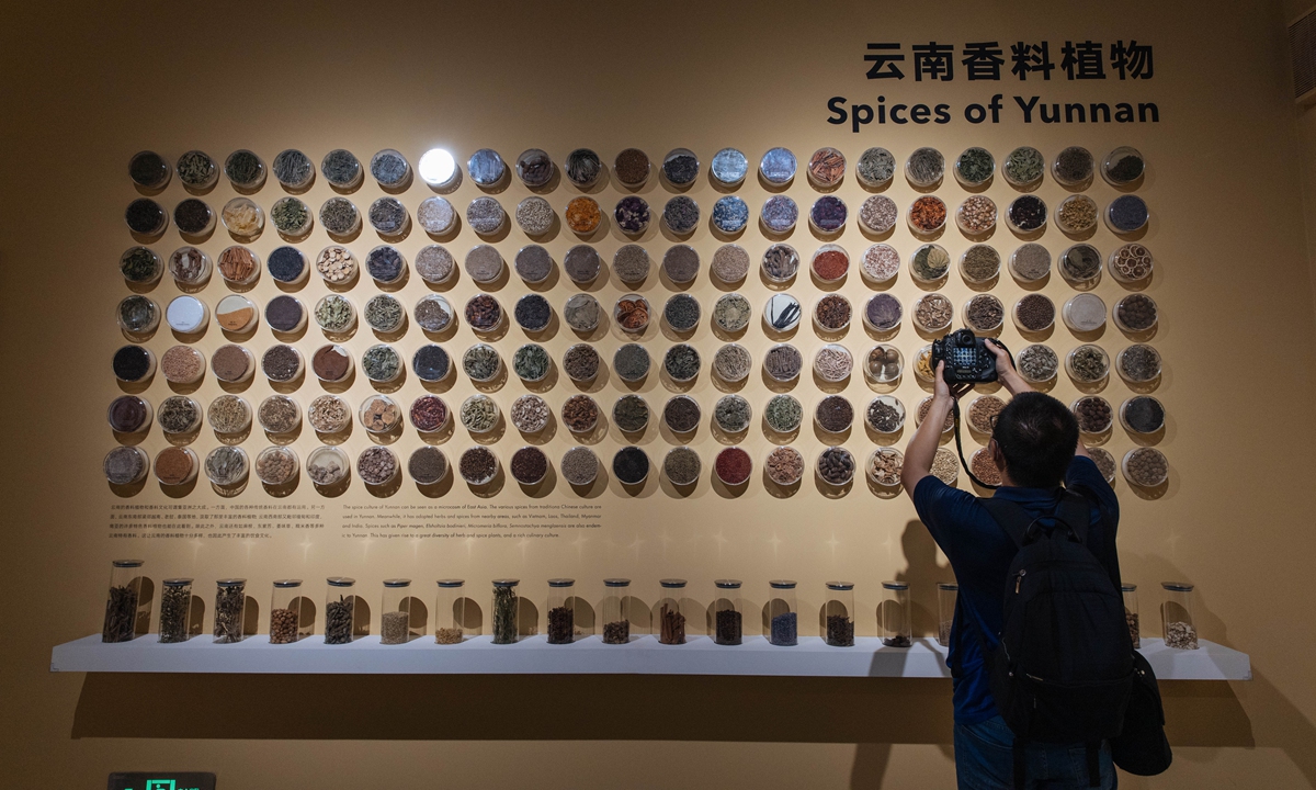 A visitor takes a picture of a collection of spices in Fuligong Seed Museum, the first museum in China dedicated to the seeds of wild plants in Kunming, Southwest China's Yunnan Province on Wednesday. Photo: Li Hao/GT