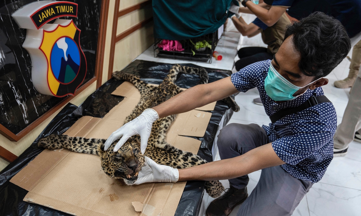 Nature and conservation agency officials and police display evidence of a Javan langur, skin of Javan leopard, during a press conference at the regional police headquarters in Surabaya, Indonesia on Wednesday. Photo: AFP