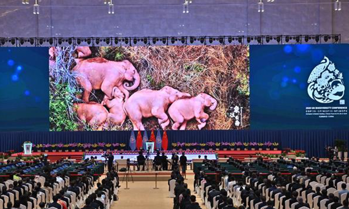 A video on elephants is being played during the opening ceremony of the 15th meeting of the Conference of the Parties to the Convention on Biological Diversity, known as COP15, in Kunming, Yunnan province, on Oct 11, 2021. PHOTO: Xinhua