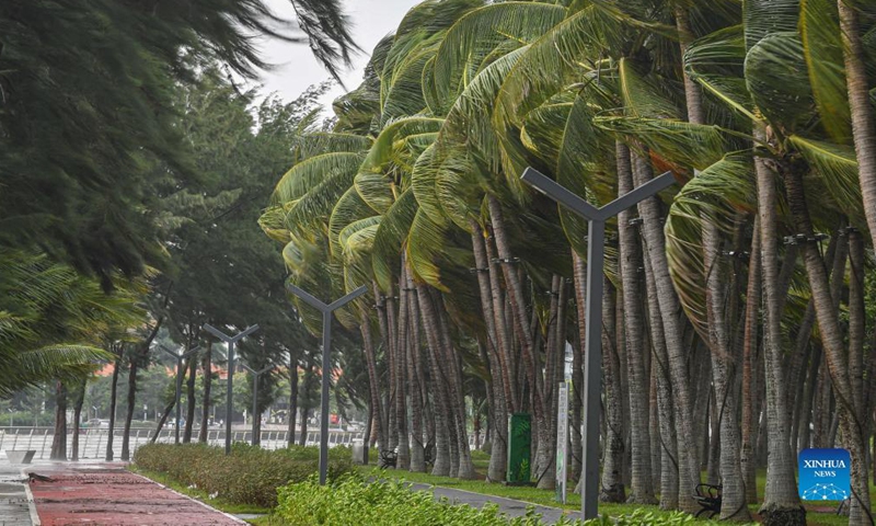 Trees sway in the strong wind in Haikou, capital of south China's Hainan Province, Oct. 13, 2021. (Xinhua/Pu Xiaoxu)
