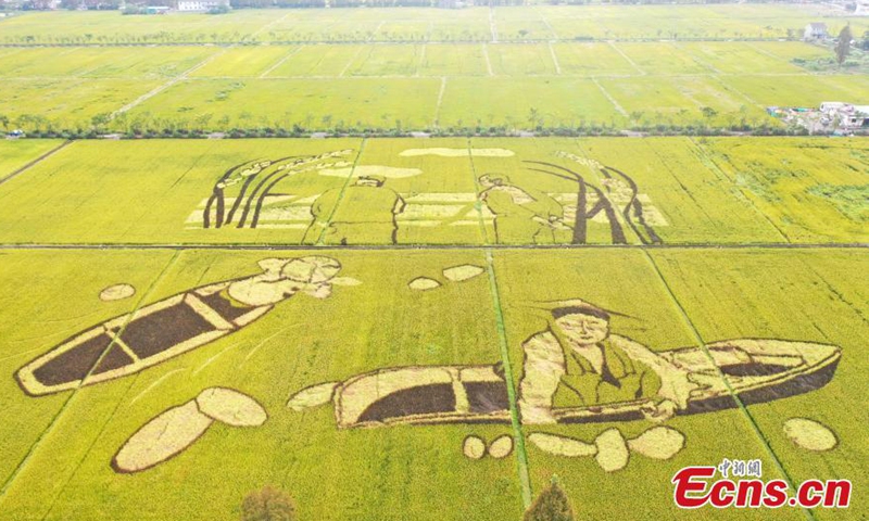 This photo taken on Oct. 14, 2021, shows rice paddy field painting Giant Ears of Rice and Laborers in Hangzhou, Zhejiang Province.Photo:China News Service