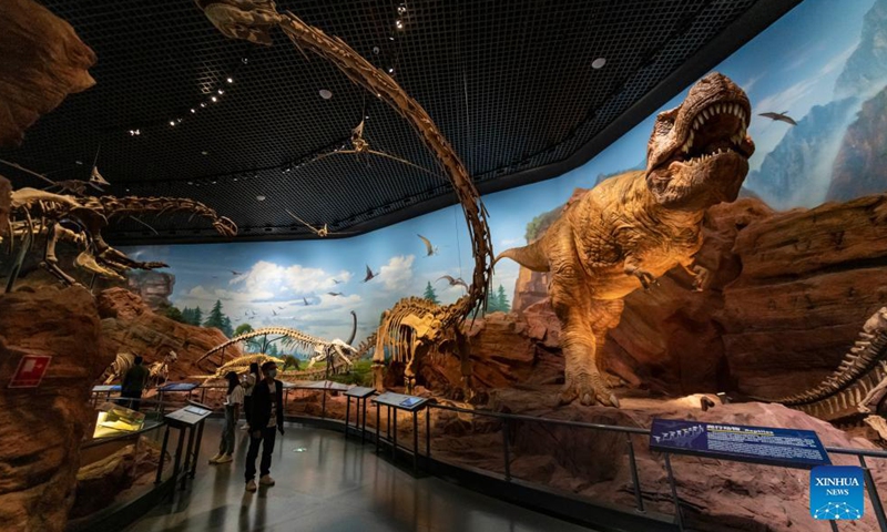 People view exhibits at a museum of Chengjiang Fossil site in Chengjiang County, southwest China's Yunnan Province, Oct. 13, 2021.Photo:Xinhua