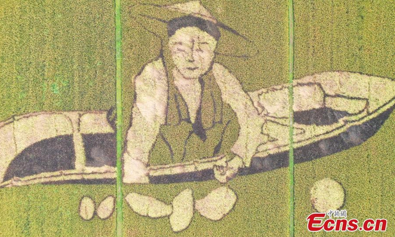 This photo taken on Oct. 14, 2021, shows rice paddy field painting Giant Ears of Rice and Laborers in Hangzhou, Zhejiang Province.Photo:China News Service