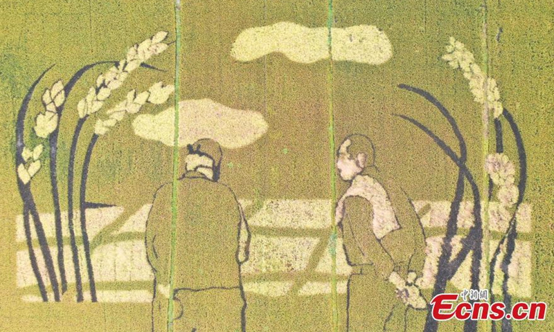 This photo taken on Oct. 14, 2021, shows rice paddy field painting Giant Ears of Rice and Laborers in Hangzhou, Zhejiang Province.Photo:China News Service