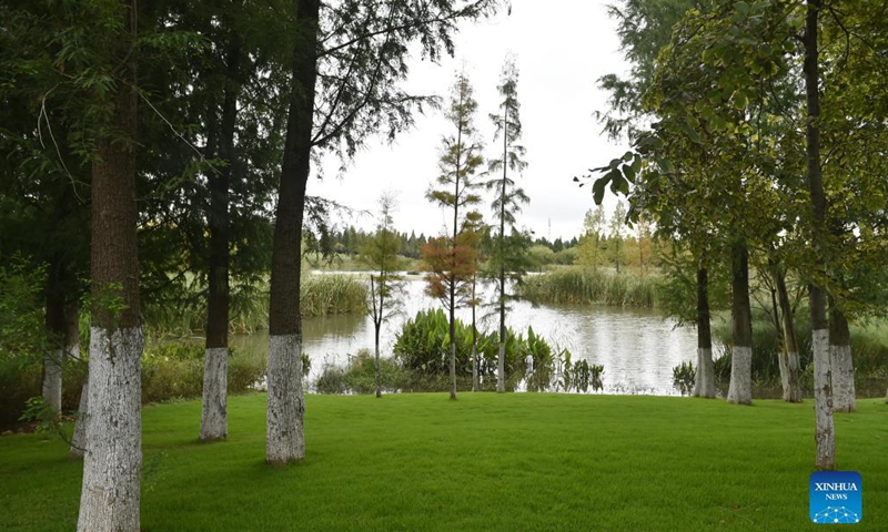 Photo taken on Oct. 15, 2021 shows a view of the Baofeng Peninsula Wetland in Kunming, southwest China's Yunnan Province. The wetland, about 108 hectares in size, is an outdoor exhibition project for the 15th meeting of the Conference of the Parties to the Convention on Biological Diversity, or the COP15.Photo:Xinhua