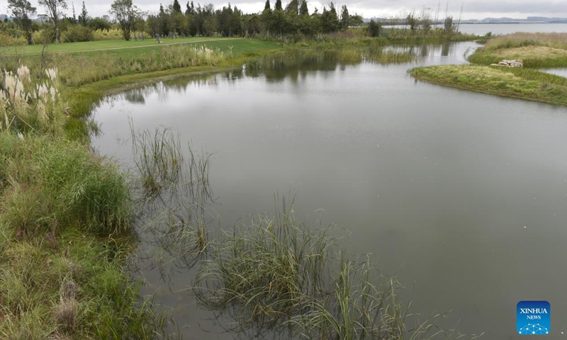 Photo taken on Oct. 15, 2021 shows a view of the Baofeng Peninsula Wetland in Kunming, southwest China's Yunnan Province. The wetland, about 108 hectares in size, is an outdoor exhibition project for the 15th meeting of the Conference of the Parties to the Convention on Biological Diversity, or the COP15.Photo:Xinhua