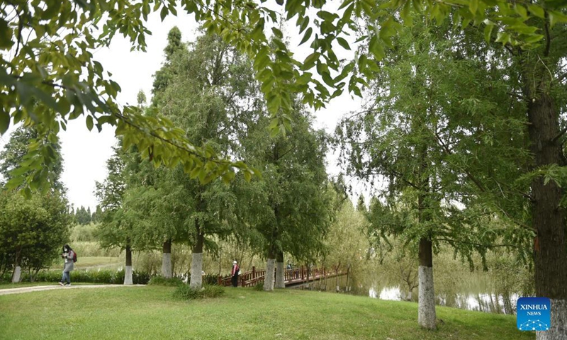 Photo taken on Oct. 15, 2021 shows a view of the Baofeng Peninsula Wetland in Kunming, southwest China's Yunnan Province. The wetland, about 108 hectares in size, is an outdoor exhibition project for the 15th meeting of the Conference of the Parties to the Convention on Biological Diversity, or the COP15.Photo:Xinhua