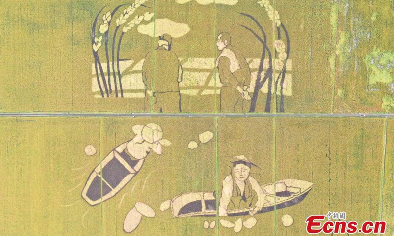 This photo taken on Oct. 14, 2021, shows rice paddy field painting Giant Ears of Rice and Laborers in Hangzhou, Zhejiang Province.Photo:China News Service