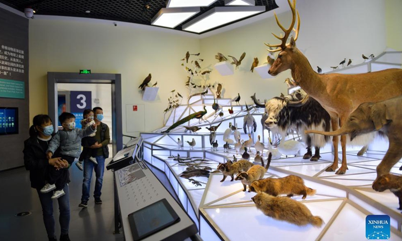 People view exhibits at a museum of Chengjiang Fossil site in Chengjiang County, southwest China's Yunnan Province, Oct. 14, 2021.Photo:Xinhua