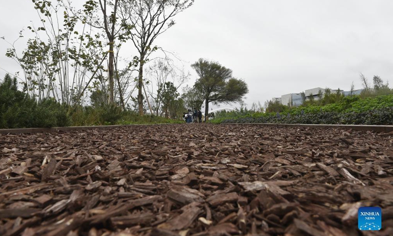 Photo taken on Oct. 15, 2021 shows a view of the Baofeng Peninsula Wetland in Kunming, southwest China's Yunnan Province. The wetland, about 108 hectares in size, is an outdoor exhibition project for the 15th meeting of the Conference of the Parties to the Convention on Biological Diversity, or the COP15.Photo:Xinhua
