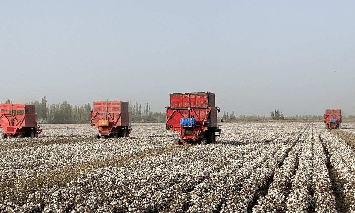 A view of a cotton farm in Xinjiang on Friday Photo: Li Xuanmin/GT