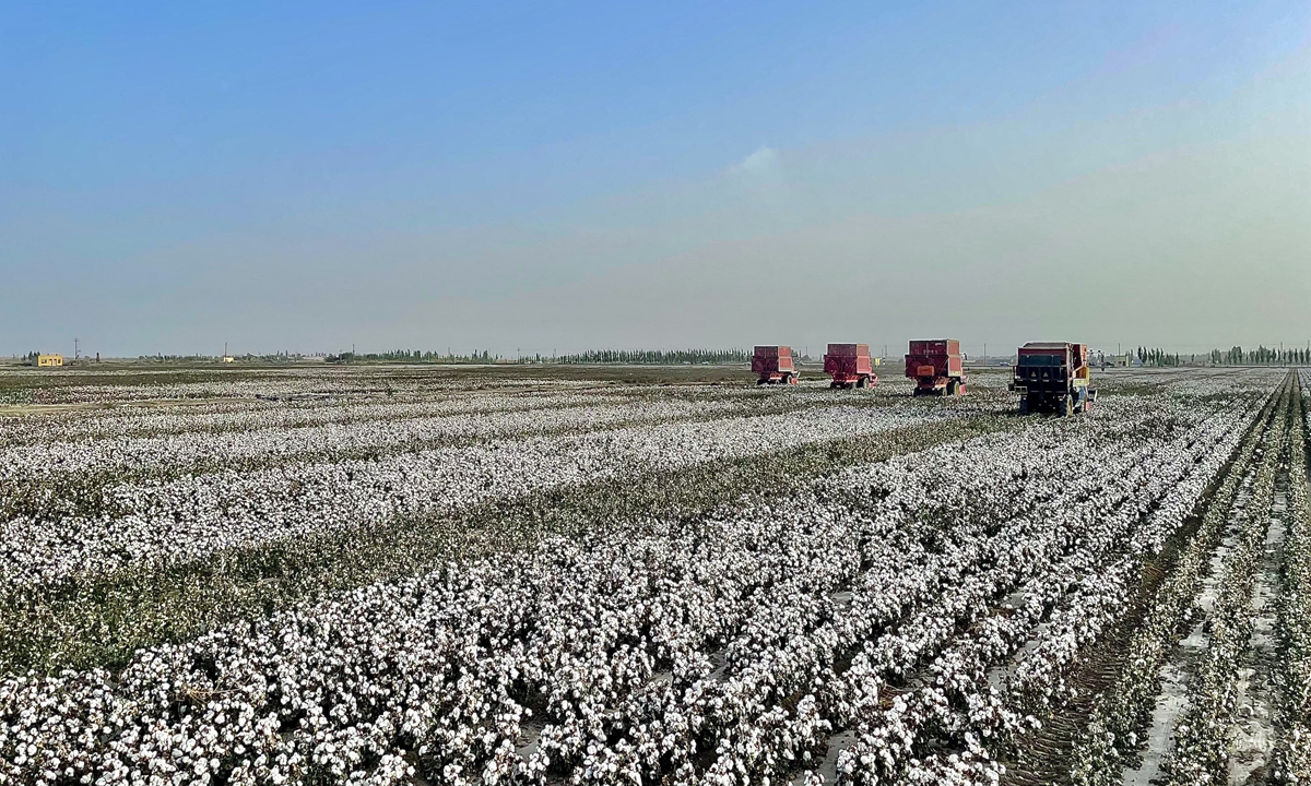 A domestically-developed automatic cotton-picking machine fleet at work in Shaya county, Aksu Region, Northwest China's Xinjiang Uygur autonomous region. Photo: Lin Luwen/GT
