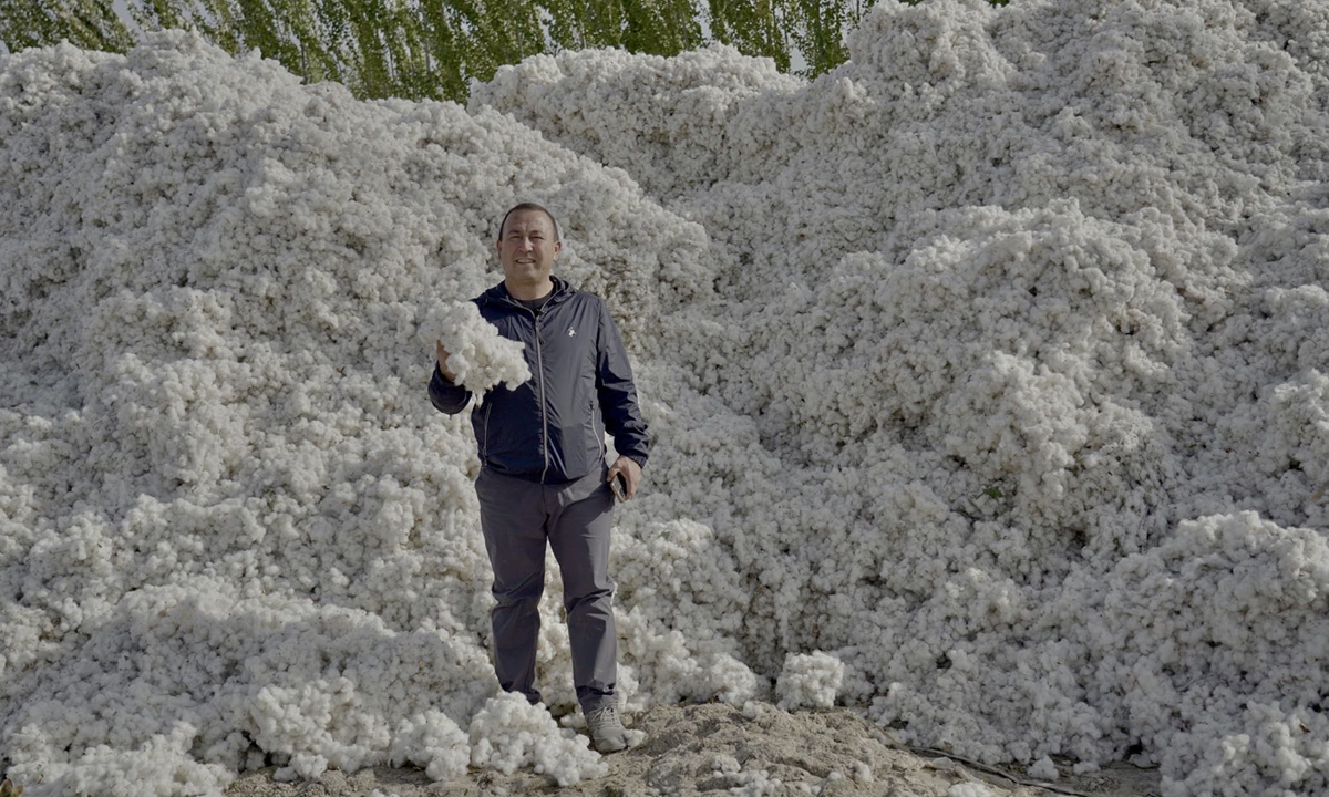 A cotton farmer in Shaya county harvested about 2 tons of cotton from his plantation. Photo: Lin Luwen/GT