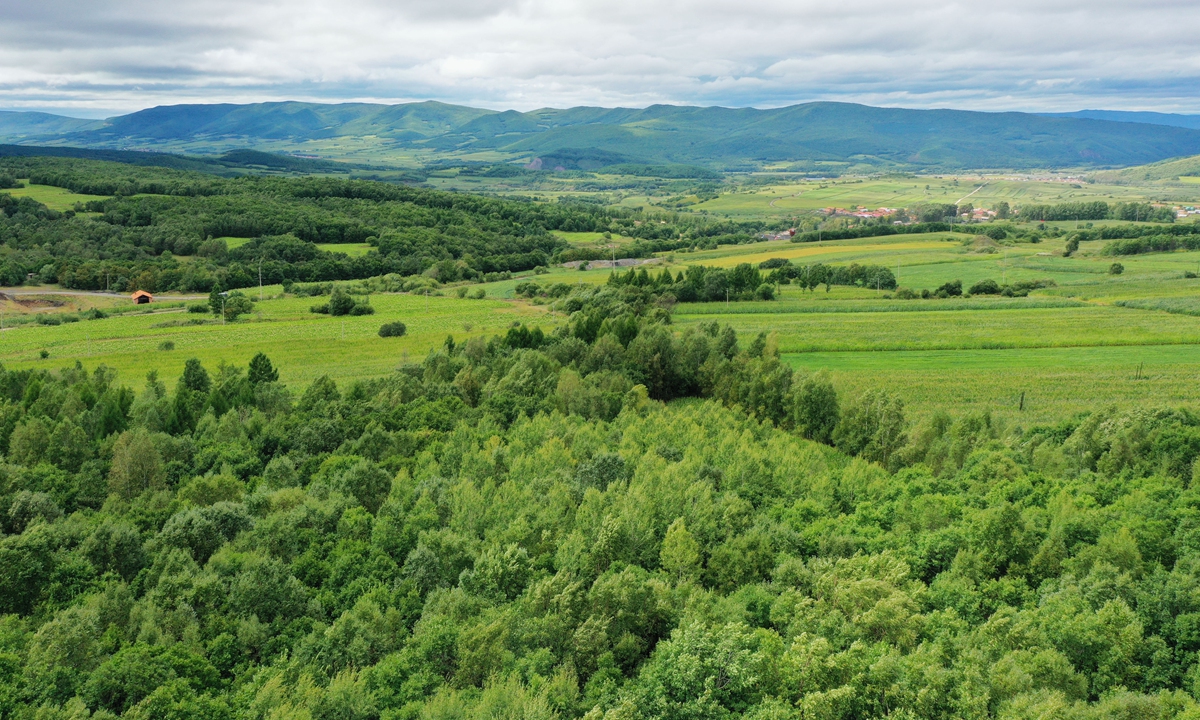 A view of the Northeast China Tiger and Leopard National Park Photo: IC