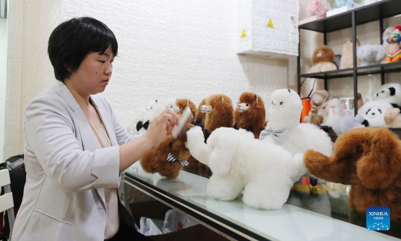 Ma Yuxia prepares alpaca-fur stuffed toys to be displayed at the 4th China International Import Expo (CIIE) at the Peru Import Pavillon of the Greenland Global Commodity Trading Hub in Shanghai, east China, Oct. 15, 2021.Photo: Xinhua
