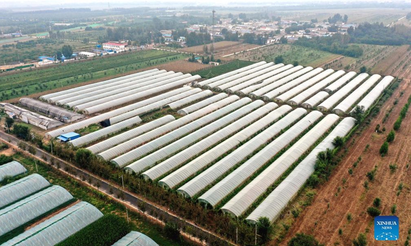 Aerial photo taken on Sept. 23, 2021 shows greenhouses in Nanmazhuang Village of Xinhe County in north China's Hebei Province. Xinhe County boosts rural vitalization by developing distinctive agricultural products, improving living environment and elevating governance capability.Photo:Xinhua