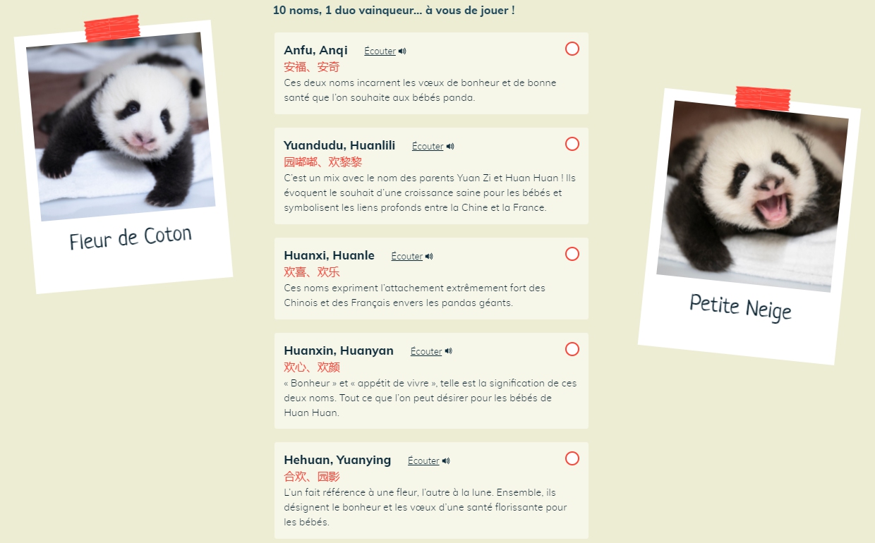 Five pairs of names on the Beauval Zoo official website for the public to vote on. 
Photo: Beauval Zoo.
