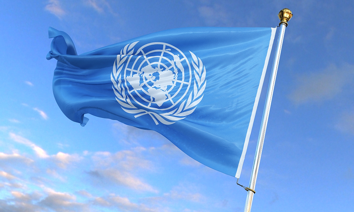The United Nations flag Photo: CFP
