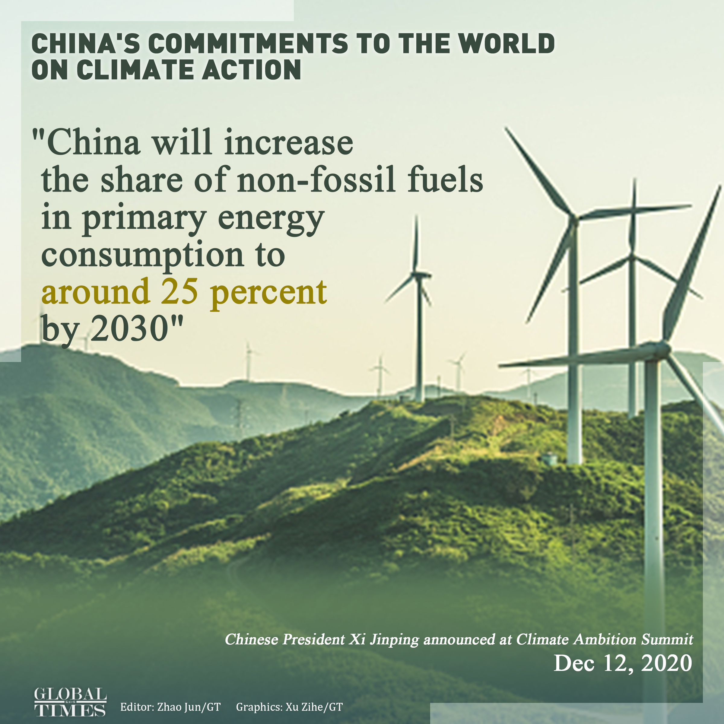 China's commitments to the world on climate action. Graphic: Xu Zihe/GT